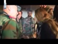 الفنانة السورية رغدة على جبهات القتال فيديوا