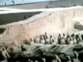 العثور على مقبرة صينية عمرها أكثر من ألفي عام