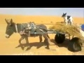 حمار أذكى من بعض البشر ! ,, سبحان الله !