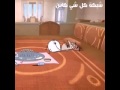 حالنا بعد الفطووور ههههههههه