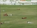سرب من النحل يتسبب في إيقاف مباراة