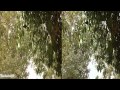 iPhone 4S Vs iPhone 4 Camera مقارنة كاميرا آيفون