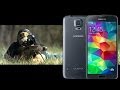 بالفيديو..هل يقاوم "غالاكسي إس 5" الرصاص؟