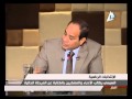 المشير السيسي ينفعل ويهدد الشعب المصري بالانسحاب من الانتخابات