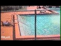 فيديو صادم لأطفال في مسبح مكهرب