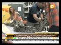 بالفيديو: العثور على أضخم ثعبان من فصيلة الأصلة البورمية