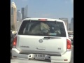 نصف مليون مشاهد لفيديو لبؤة في شارع الشيخ زايد