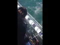 لحظات مرعبة لزوجين هاجمهما قرش - فيديو