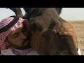 بالفيديو: بالدليل العلمي.. هكذا ينتقل "كورونا"!