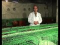 الفرق بين السواك و معجون الأسنان - بحث علمي
