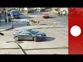 ثور ينطح شرطي مرور نطحة قوية في الشارع - فيديو