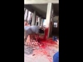 بالفيديو.. شاهد كيف قامو بتعذيب البقرة قبل ذبحها