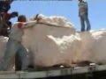 بالفيديو: تهريب الخمر في الاردن داخل الصخور والأحجار بطريقة عجيبة