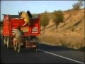 كيف تحصل على كبش العيد إذا لم يكن لديك المال