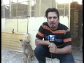 ردة فعل مضحكة لمذيع عراقي يصور مع أسد
