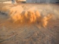 تعذيب الكلاب بالمطاردة