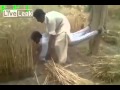 فيديو:باكستانيون يحصدون الزرع بطريقة مضحكة