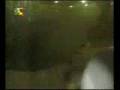 الصورة التي ادهشت الملايين