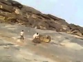 صاعقة رعدية تضرب صخرة وعليها أب وطفلاه