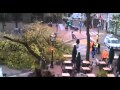 هولندي ينجو من الموت بعد سقوط شجرة - فيديو