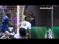 أجمل 5 أهداف في يورو 2012
