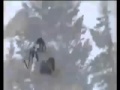 بالفيديو ...شاهد كيف تعرض مايكل شوماخر للحادث المروع