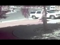 فيديو مذهل.. قطة تنقذ طفلاً هاجمه كلب شرس