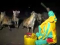 الرجل الضبع .. شيء لا يصدق يعيش مع الضباع ويلعب معهم