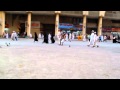 آمن من حمام الحرم وآلف من حمام مكة..فيديو‎