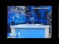 مذيع يوناني تعرض للرشق بالبيض من جمهور غاضب