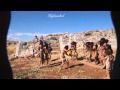 شاهد فيلم "الثورة السورية في 3 دقائق".. ماذا كانت رسالة السوريين للعالم!