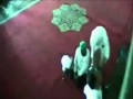 بالفيديو.. شيخ يموت داخل مسجد بعد دعوته الأطفال للصلاة